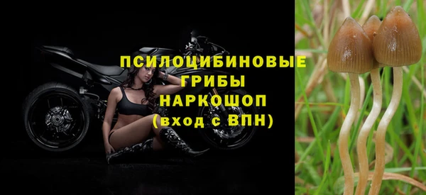 круглые Арсеньев