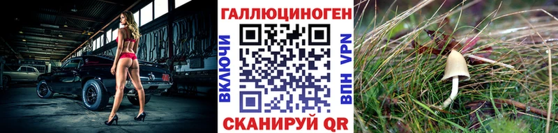 дарнет шоп  мега ссылки  Галлюциногенные грибы Cubensis  Радужный 